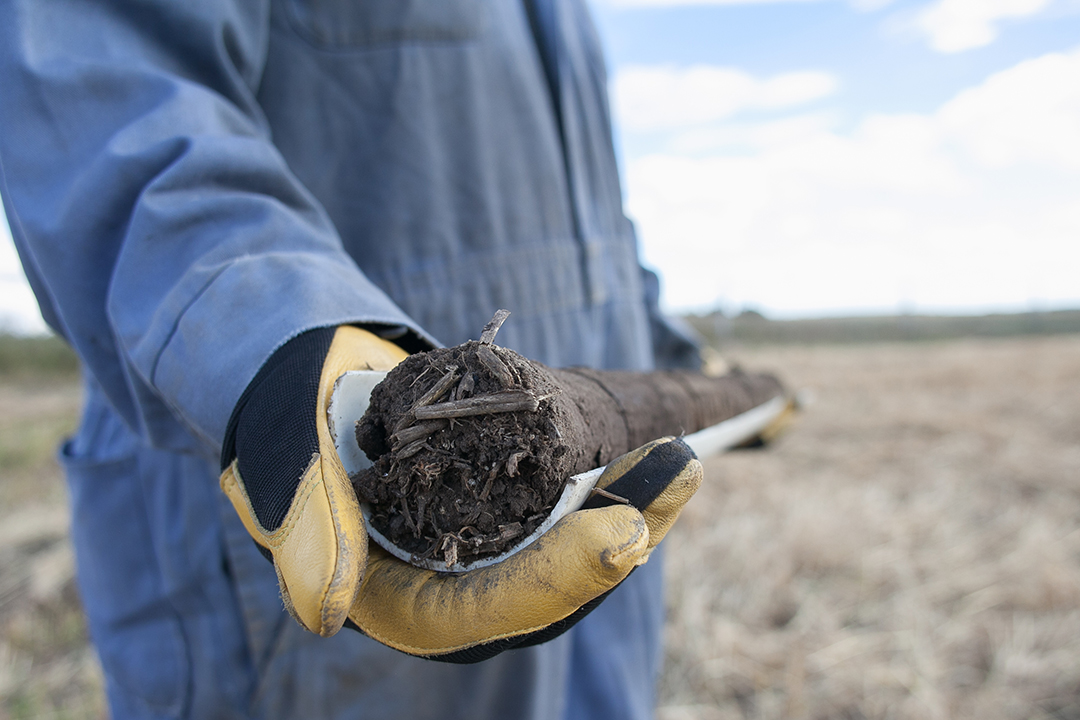 soil-sample-closeup