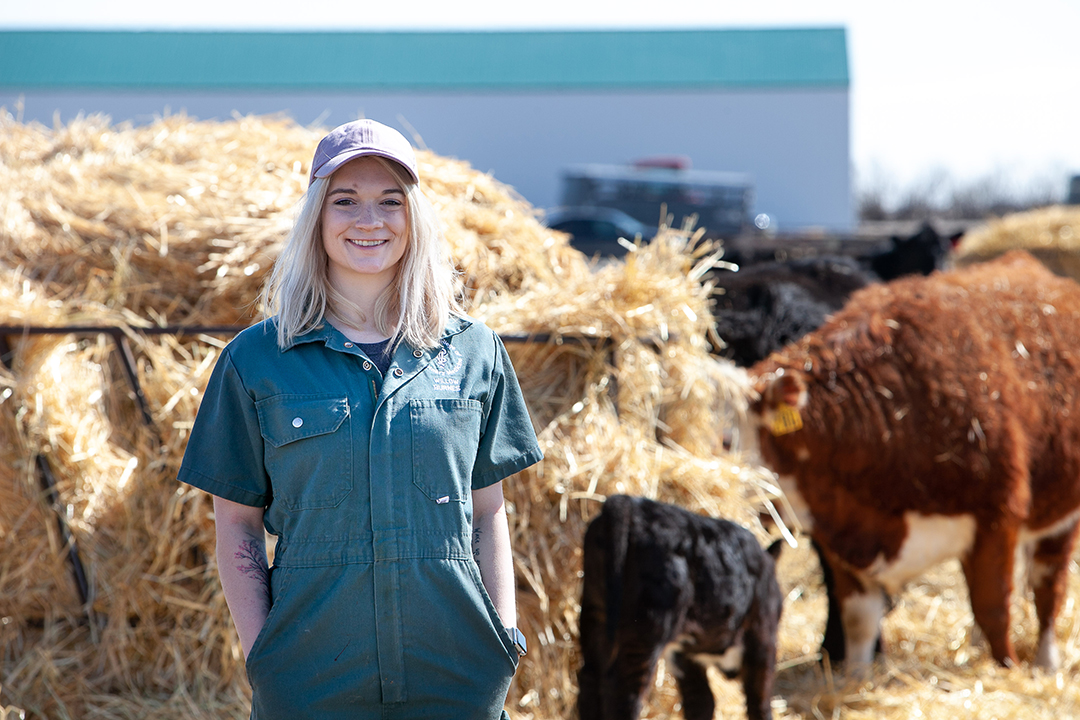 student standing in front of cattle
