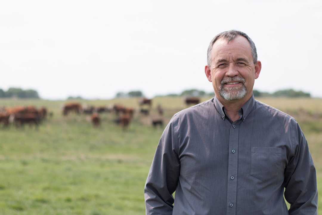 Dr. John Campbell, veterinary professor, standing in front of herd of cattle