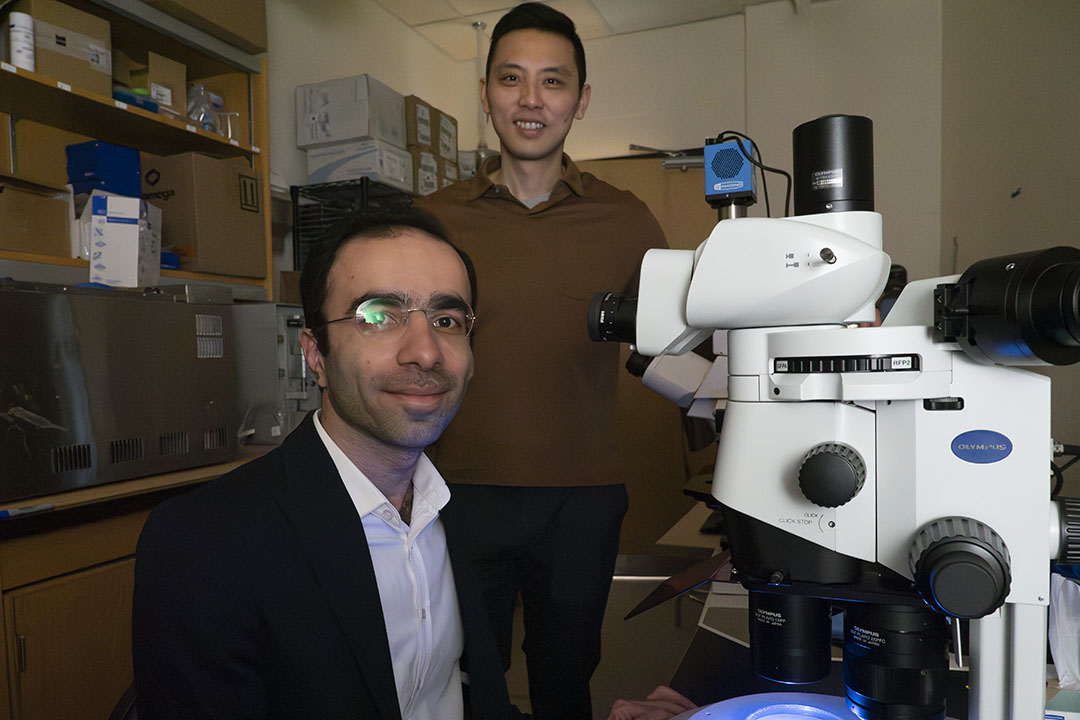 Two scientists by microscope