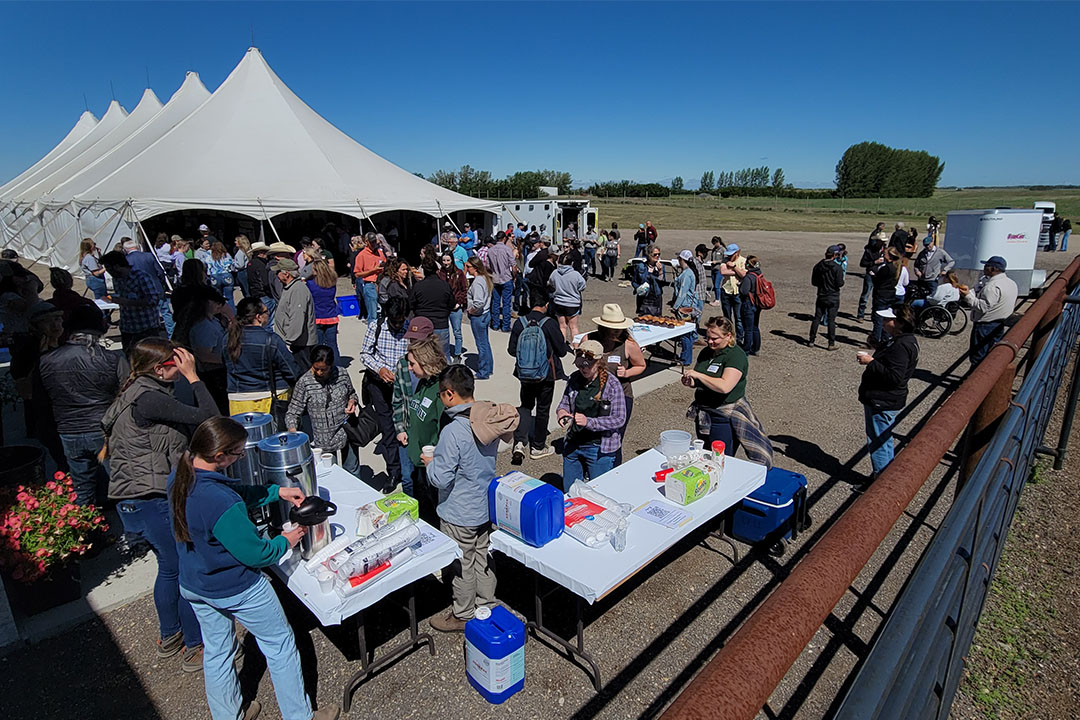 Field day attendees