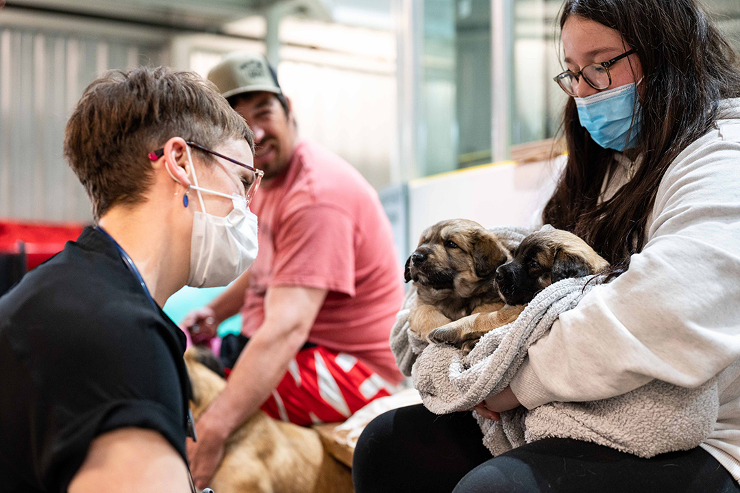 Dr. Jordan Woodsworth with two puppies and owner at remote spay-neuter clinic