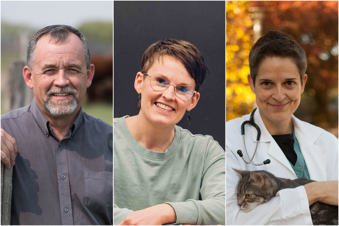 Three veterinarians portrait images