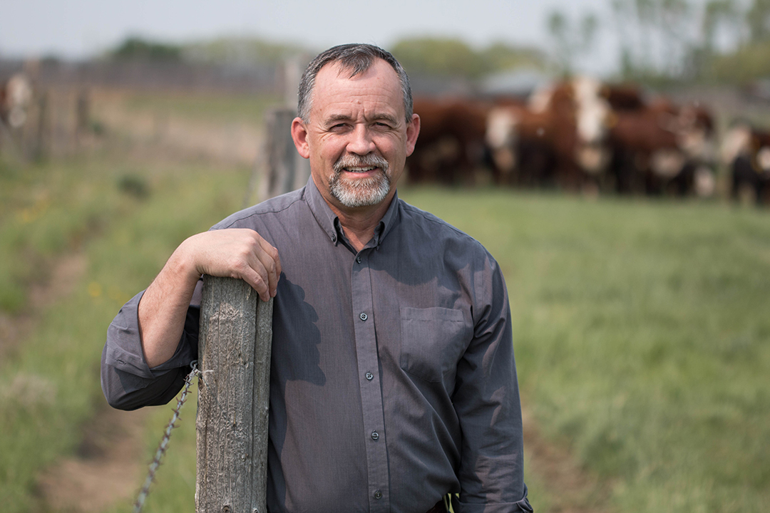 Veterinarian standing before cattle herd