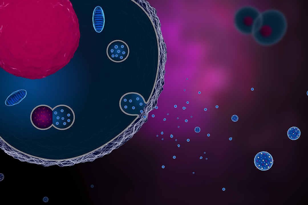 Illustration of extracellular vesicles