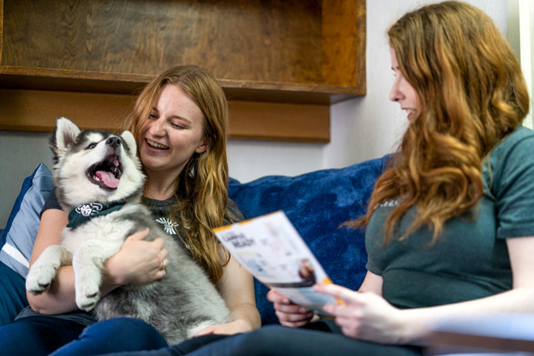 National Puppy Day is an unofficial holiday that takes place on March 23. (Photo: Jacob Straat)