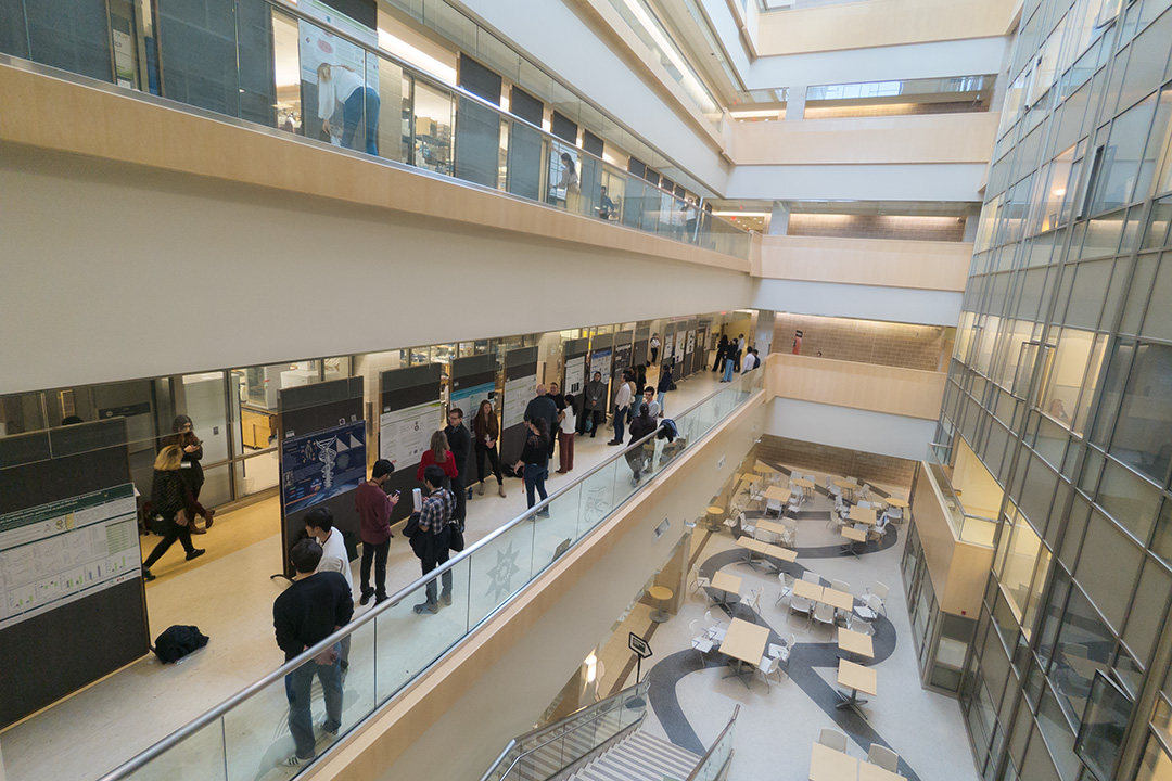 More than 100 participants showcased their research work at the University of Saskatchewan's (USask) 2024 Life and Health Sciences Research Expo. Photo: Rigel Smith