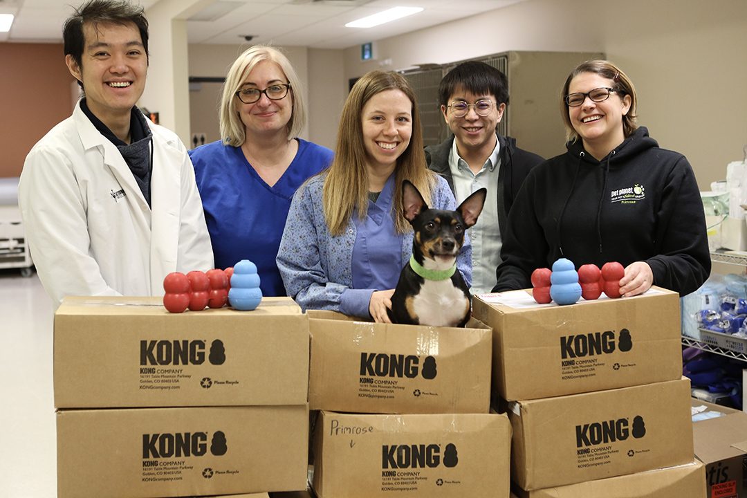 Pet Planet Primrose owner Gillian Gratton donated over 250 KONG toys to the WCVM's oncology group