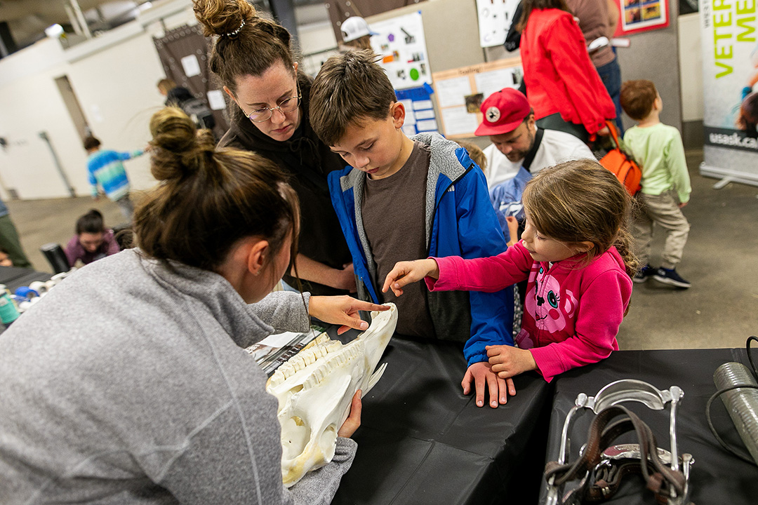 Veterinary student displays an equine jaw (skeleton) to a family.